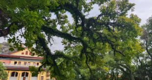 [2025/11/09]课题组参加中国心理学会工程心理学专业委员会第九届学术年会