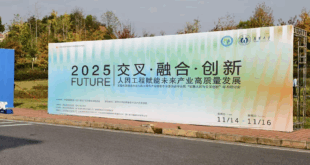 [2025/11/15]课题组参加首届中国创造学会人因工程与产业创新专业委员会学术年会